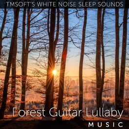 Album cover of Forest Guitar Lullaby