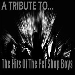 Album cover of A Tribute To The Hits Of The Pet Shop Boys