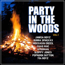 Album cover of Party in the Woods, Vol. 1