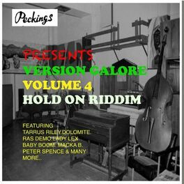 Album cover of Peckings Presents: Version Galore Hold on Riddim, Vol. 4