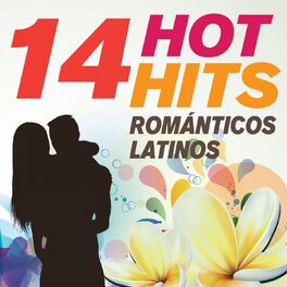 Album cover of 14 Hot Hits Románticos Latinos