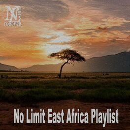 Album cover of No Limit Africa Playlist