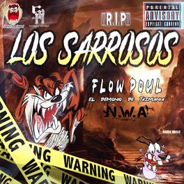 Album cover of Rap artesanal