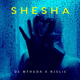 Album cover of Shesha