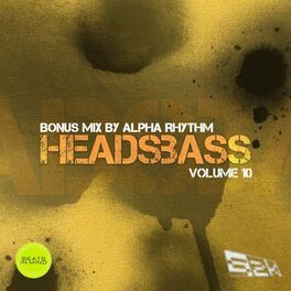 Album cover of HEADSBASS VOLUME 10