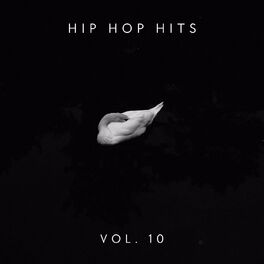 Album cover of Hip Hop Hits Vol.10