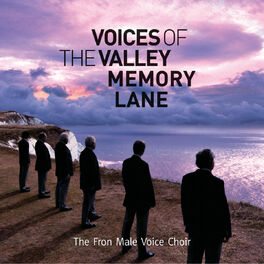 Album cover of Voices of The Valley - Memory Lane