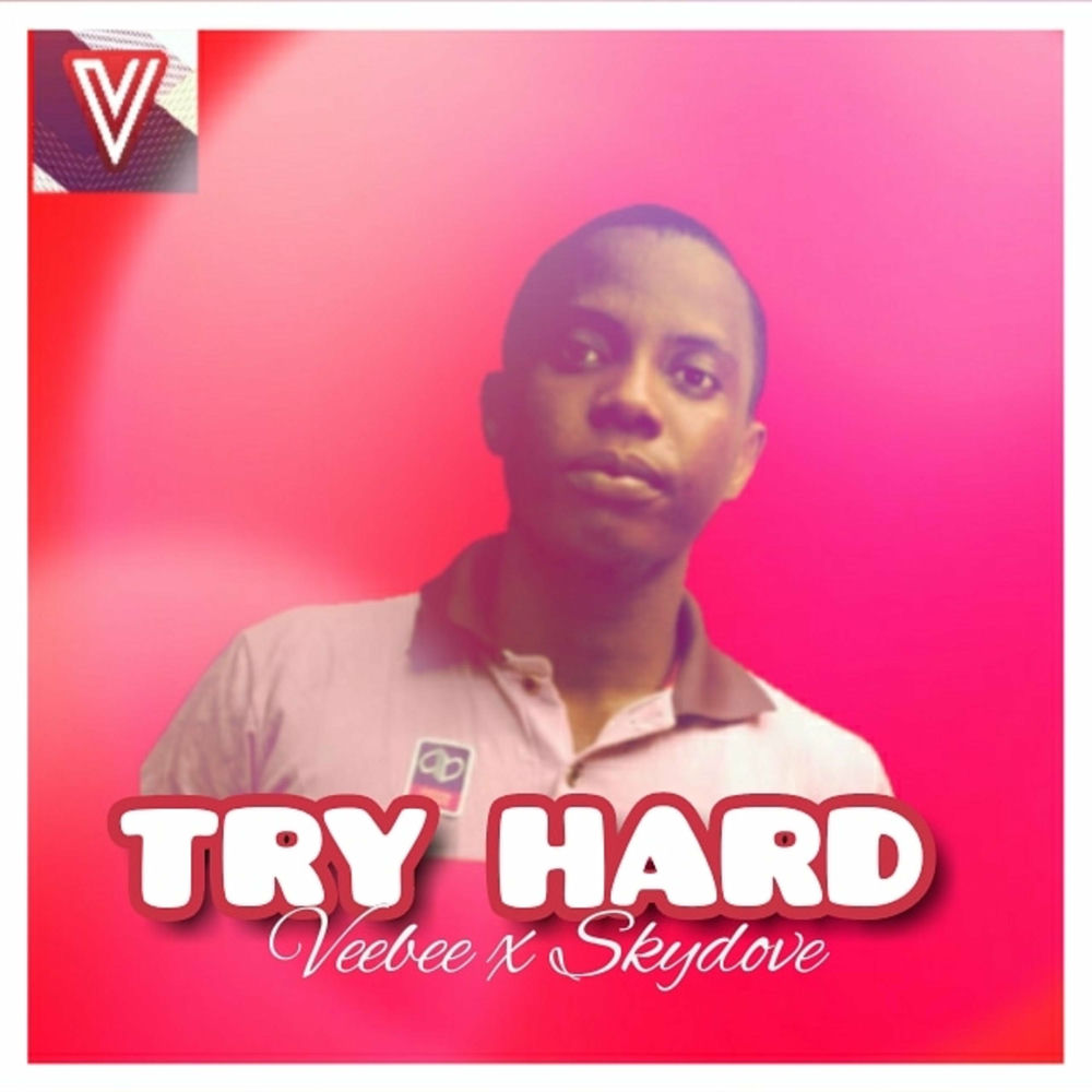 First try мем. вы пробовали выключить и включить мем. паст перфект в английском. Veebee обложка. I have tried.