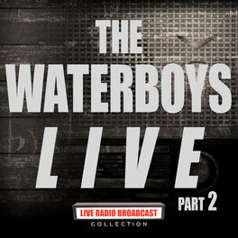 Album cover of The Waterboys Live Part 2 (Live)