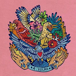 Album cover of A volar (feat. Lido Pimienta)
