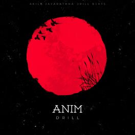 Album cover of Anim Drill
