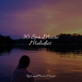 Album cover of 30 Spa Music Melodies