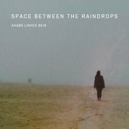 Album cover of Space Between The Raindrops