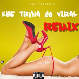 Album cover of She Tryna Go Viral (Ysn Flow Remix)