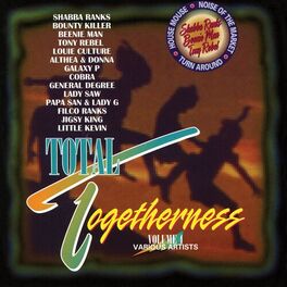 Album cover of Total Togetherness Vol. 4