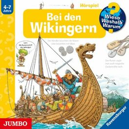 Album cover of Bei den Wikingern [Wieso? Weshalb? Warum? Folge 48]