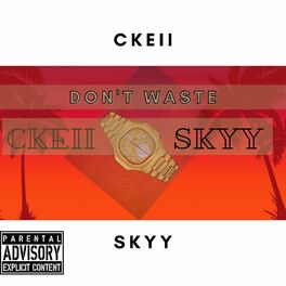 Album cover of Don't Waste Mine (feat. Skyy)