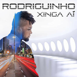 Album cover of Xinga Aí