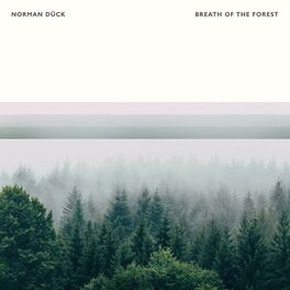 Album cover of Breath Of The Forest