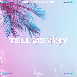 Album cover of Tell Me Why