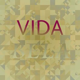 Album cover of Vida Bela