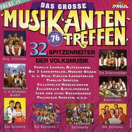Album cover of Das große Musikantentreffen Folge 15