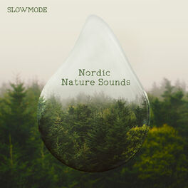 Album cover of Nordic Nature Sounds