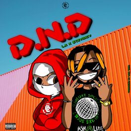 Album cover of D.N.D
