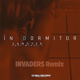 Album cover of In Dormitor (Invaders Remix)