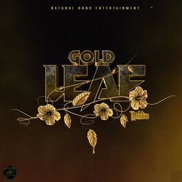 Album cover of Gold Leaf Riddim