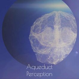 Album cover of Aqueduct Perception