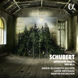 Album cover of Schubert: Arpeggione Sonata & Trio No. 2