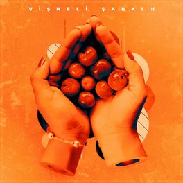 Album cover of Vişneli Şarkı 2