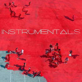 Album cover of Das Rote Album (Instrumentals)