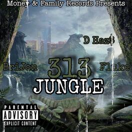 Album cover of 313 Jungle