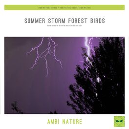 Album cover of Summer Storm Forest Birds (Nature Sounds for Relaxation, Meditation and Deep Sleep)