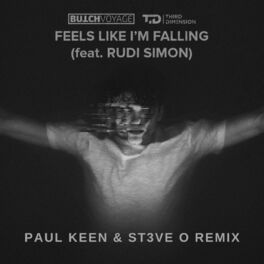 Album cover of Feels Like I'm Falling (feat. Rudi Simon & ST3VE O)