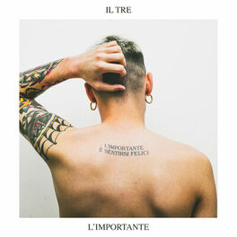 Album cover of L'importante