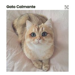 Album cover of Gato Calmante