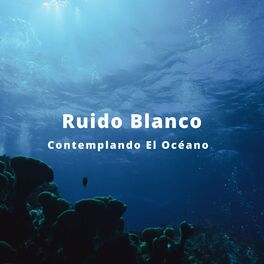 Album cover of Ruido Blanco: Contemplando El Océano