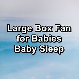 Album cover of Large Box Fan for Babies Baby Sleep
