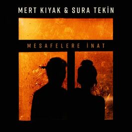 Album cover of Mesafelere İnat
