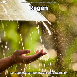 Album cover of #01 Regen zum Einschlafen, Durchschlafen und gegen Hundebellen