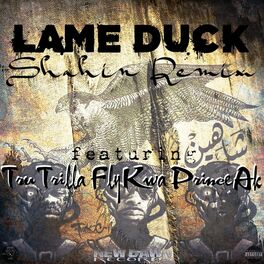 Album cover of Lame Duck (Shahin Remix)