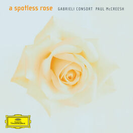 Album cover of A Spotless Rose