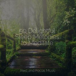 Album cover of 50 Delightful Sleep Melodies to Meditate