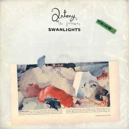 Album cover of Swanlights