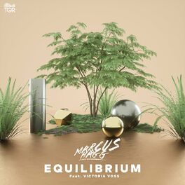 Album cover of Equilibrium