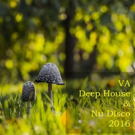Album cover of Deep House & Nu Disco 2016