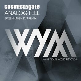 Album cover of Analog Feel (Greenhaven DJs Remix)
